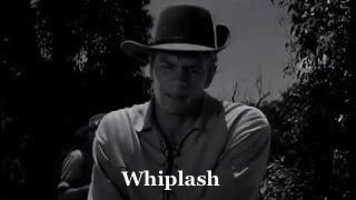 Whiplash